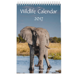 Djurlivkalender 2017 kalender