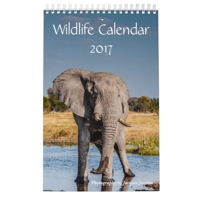 Djurlivkalender 2017 kalender (Omslag)