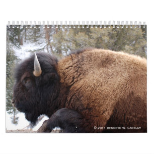 Djurlivkalender Kalender
