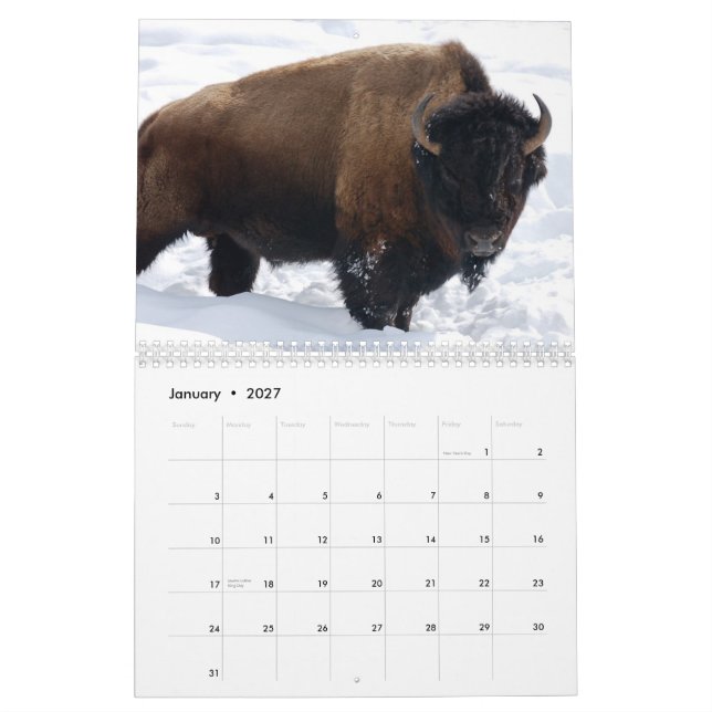Djurlivkalender Kalender (Jan 2027)