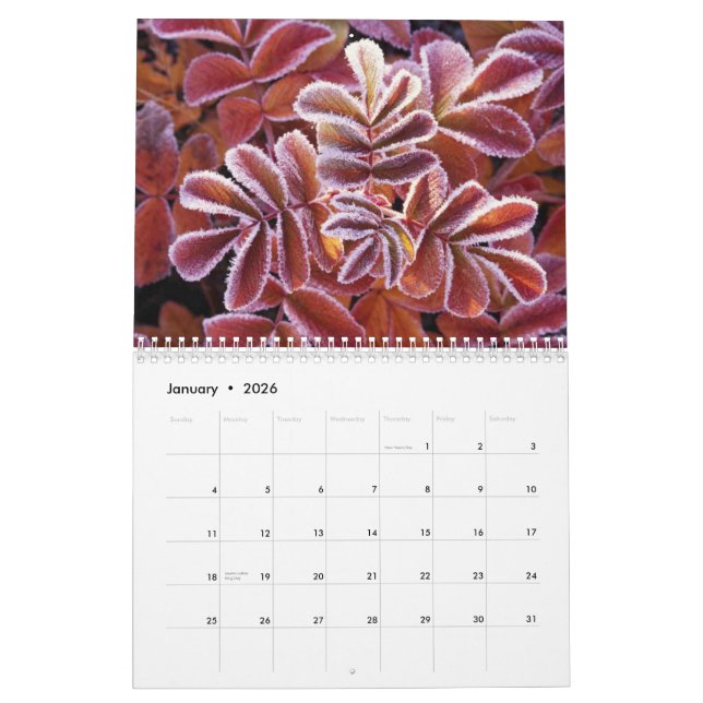 Djurlivkalender Kalender (Jan 2026)