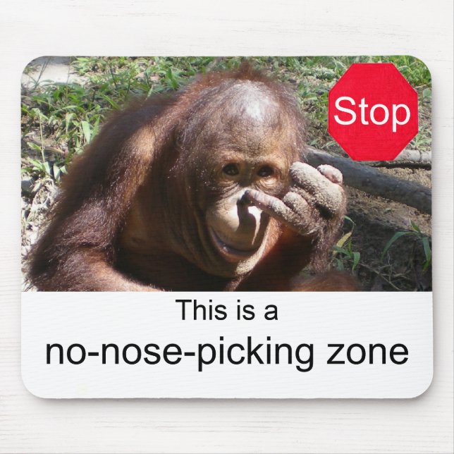 Djurlivkurser #1 musmatta (Framsidan)