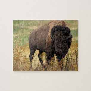 DjurlivPussel-Buffel Pussel