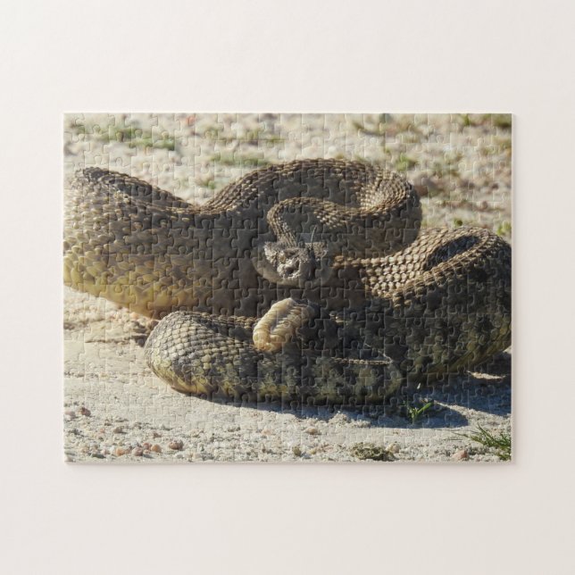 Djurlivpussel, ormar, skallerorm, reptilar pussel (Horisontell)