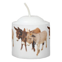Djurlivstearinljus som är votive, vildburros, åsna