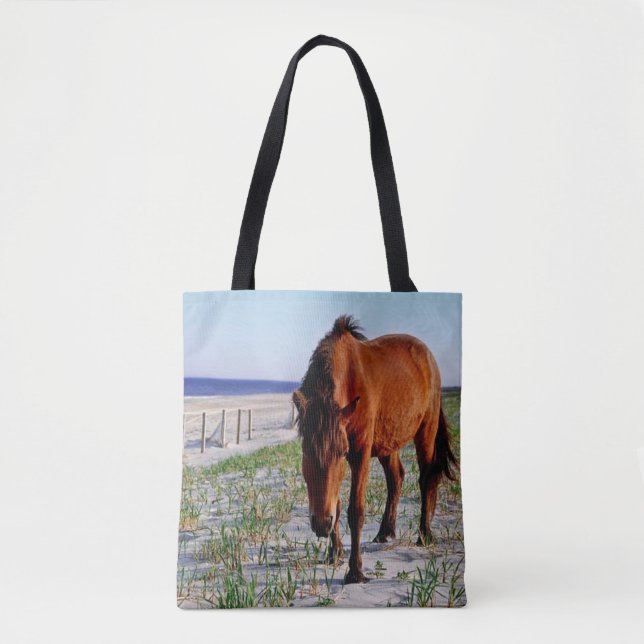 Djurlivtoto, vildhästar, Assateague ö Tygkasse (Framsida)