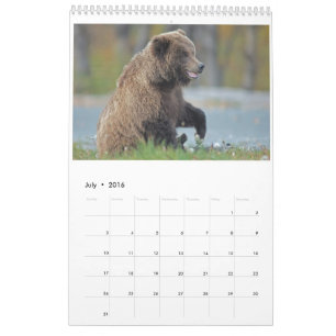 Djurlivväggkalender 2016 - fåglar och däggdjur kalender