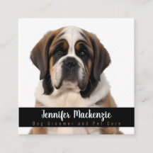 Djuromsorg Groomer Groomer-tjänst för Hund