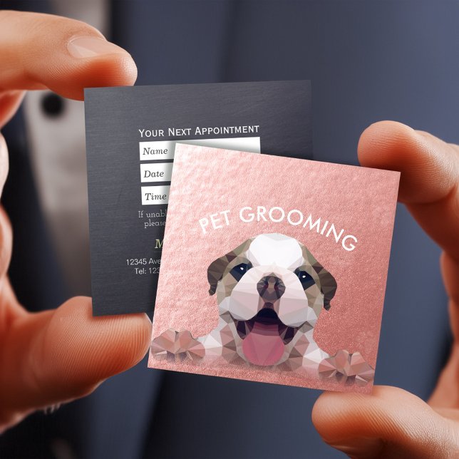 Djuromsorg grooming Bathing Food Salon med låg pol Tidsbeställning Kort (Skapare uppladdad)
