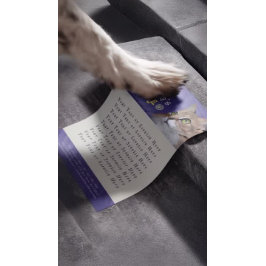 Djuromsorga Sitta Bathing Grooming Beauty Salon Ca Reklamblad