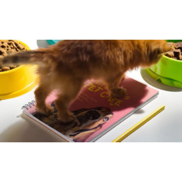 Djuromsorga Sitta Bathing Grooming Salon Food Shop Anteckningsbok