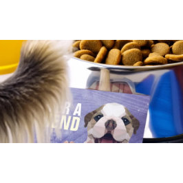 Djuromsorga Sitta Bathing & Grooming Shop Rabattkort
