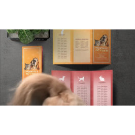 Djuromsorga Sitta Grooming Salon Tri-Fold Brochure