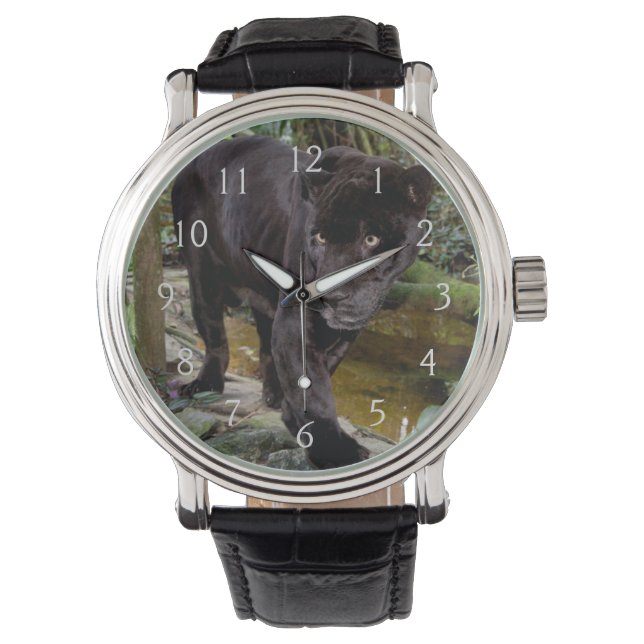 Djurpark i Belize City. Svart panter Armbandsur (Framsida)