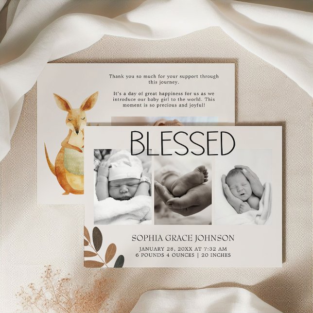 Djurpark Safari Små Djur Födelse Tillkännagivande (Skapare uppladdad)