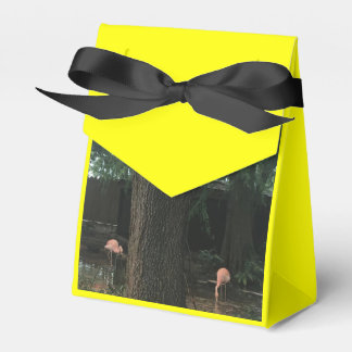 Djurparks kärlek presentaskar