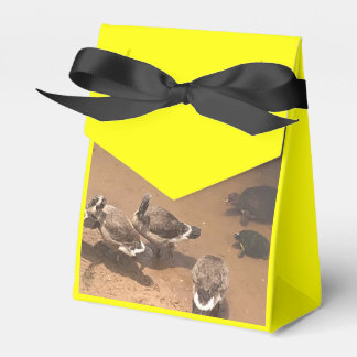 Djurparksromantik Presentaskar