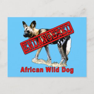 Djurprodukter som är utrotningshotade i den afrika vykort