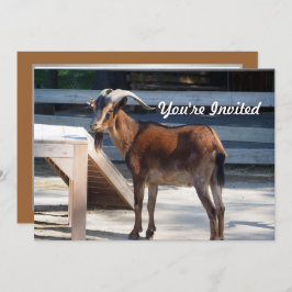 Djurprofil på Goat Black Brown Horns Birthday Inbjudningar