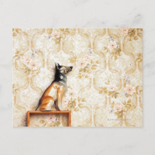 Djurrepresentation,novelty,hyllor,knick Vykort