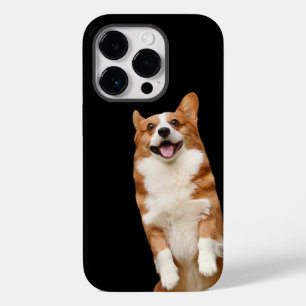 Djurriket - Underbart Sött Corgi