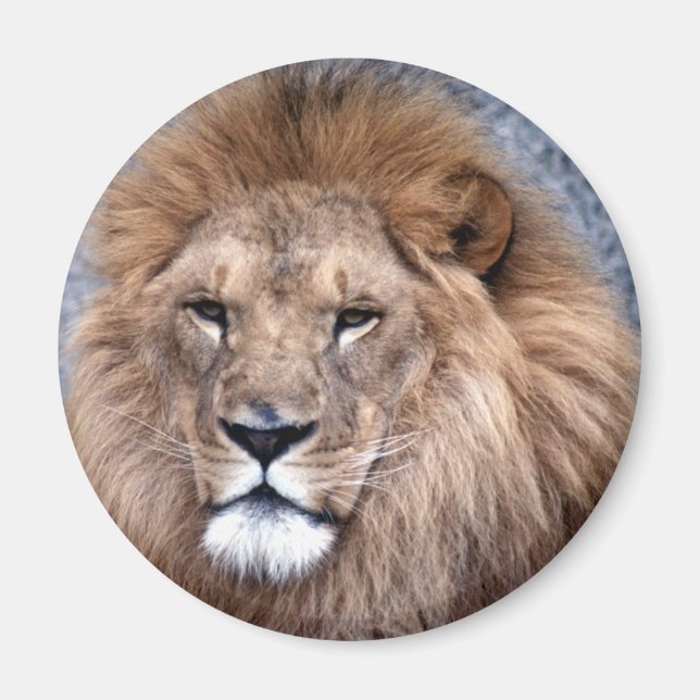 Djurs Vild 1 Magnet (Framsidan)