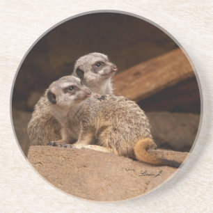 Djurserie - Meerkats on Guard Underlägg