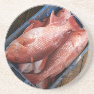 Djurserie - Underlägg med rödsnapper Sandsten