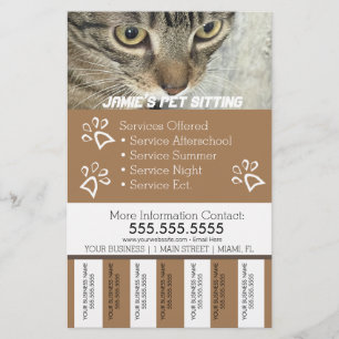 Djurserviceföretag Hundavrivbara remsor Flyer B