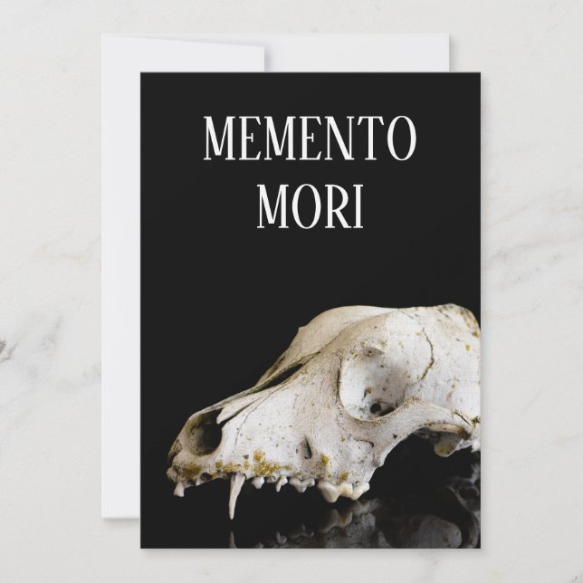 Djurskalle (Framsida)