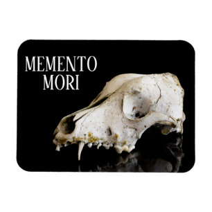Djurskalle Magnet