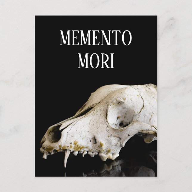 Djurskalle Vykort (Framsida)