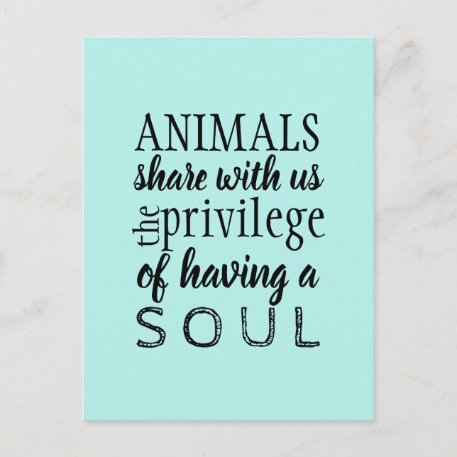 Djurskydd Vykort (Framsida)