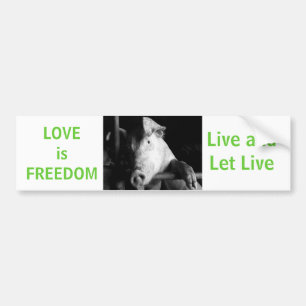 Djurskyddssvin Viggy Vegan Car Bumper Sticker Bildekal