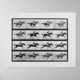 Djurslag - 16 Ramar av Racehorse Annie G Poster
