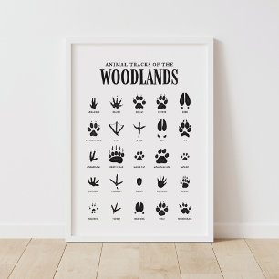 Djurspår Skogsmark Nursery Decor Poster