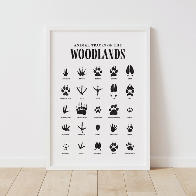 Djurspår Skogsmark Nursery Decor Poster (Skapare uppladdad)