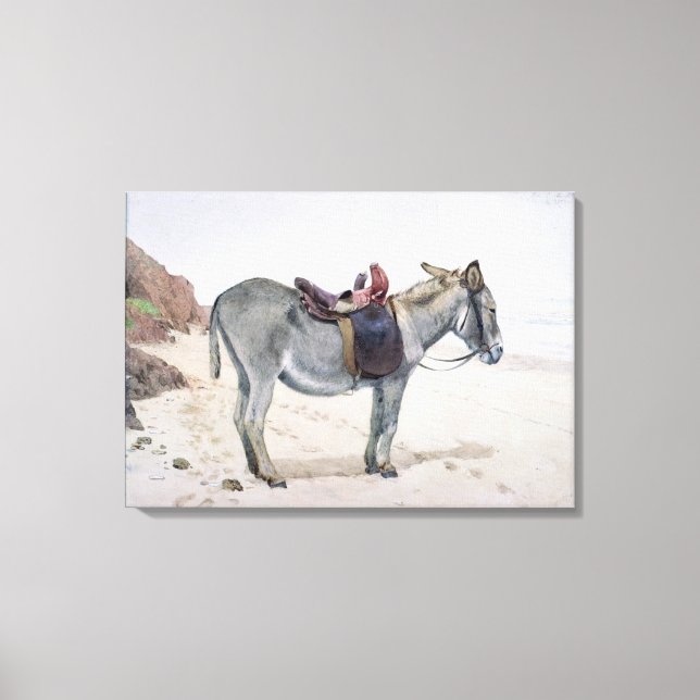 Djurstudier Canvastryck (Framsida)