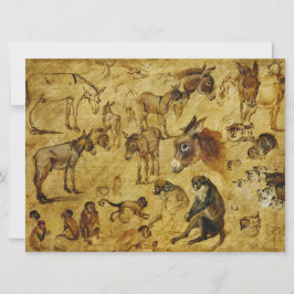 Djurstudier: Donkey, apa, katter och Hundar Kort