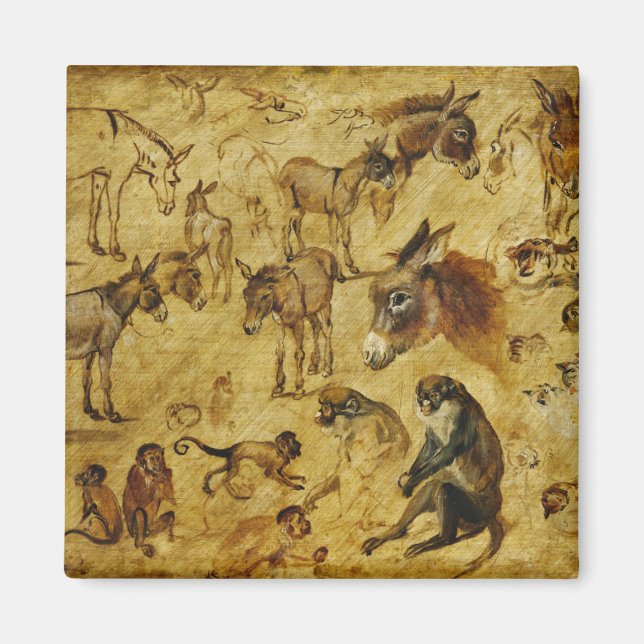 Djurstudier: Donkey, apa, katter och Hundar Magnet (Framsidan)