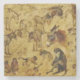 Djurstudier: Donkey, apa, katter och Hundar Stenunderlägg