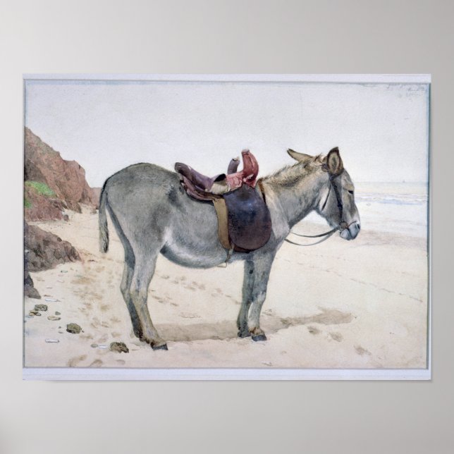 Djurstudier Poster (Framsidan)