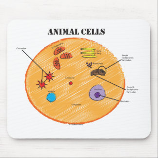 Djurt celldiagram musmatta
