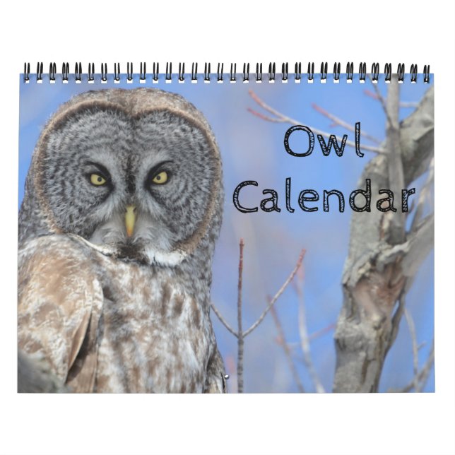 Djurt Uggla Bird Life Office Hemort Destiny's Dest Kalender (Omslag)
