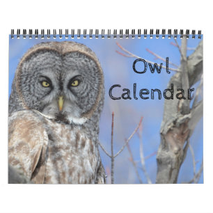 Djurt Uggla Bird Life Office Hemort Destiny's Dest Kalender