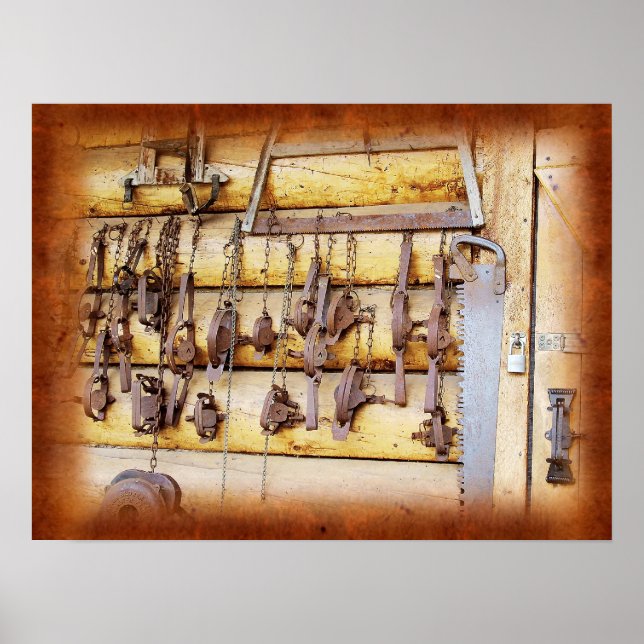 Djurtraps i Alaska Poster (Framsidan)