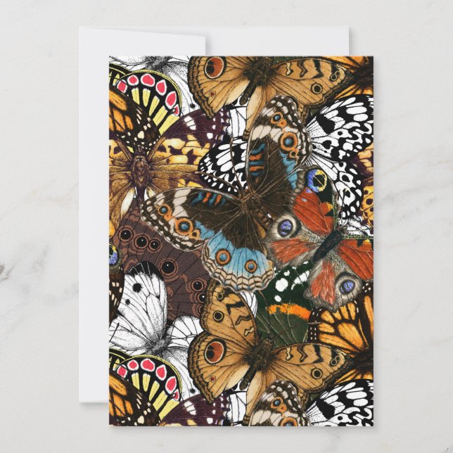 Djurtryck. Butterfly vingar (Framsida)