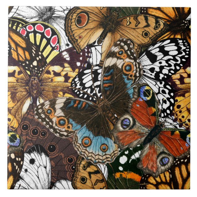 Djurtryck. Butterfly vingar Kakelplatta (Framsidan)