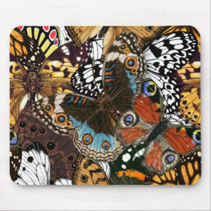 Djurtryck. Butterfly vingar Musmatta
