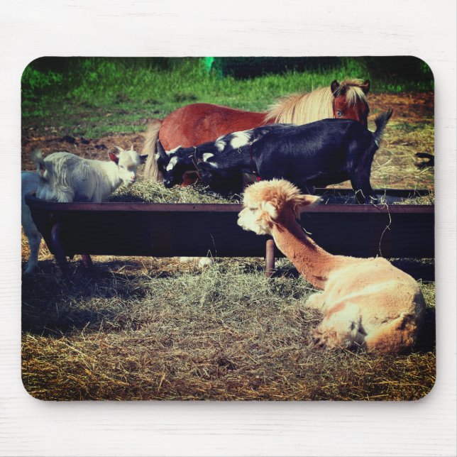 Djurvännnaturen hos lantgårdar musmatta (Framsidan)